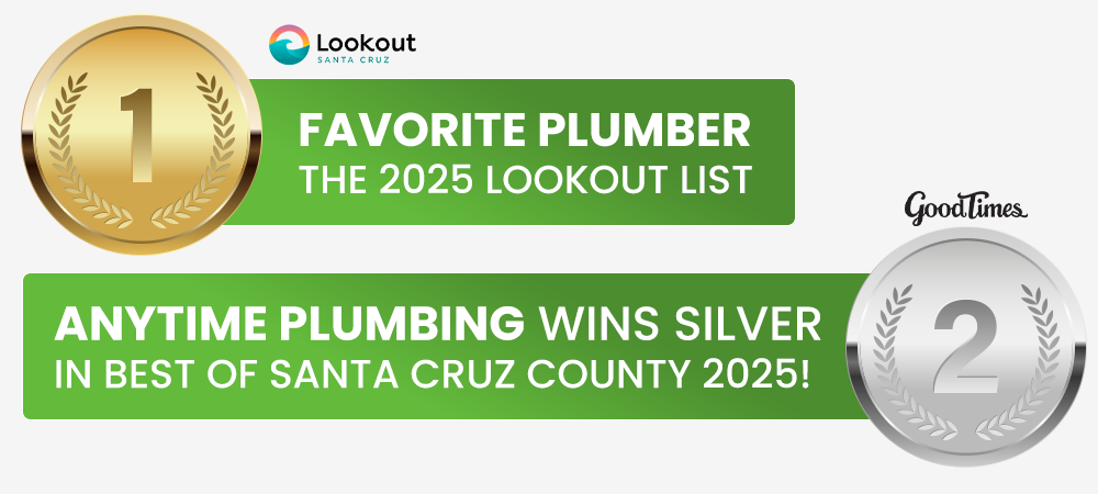 best of santa cruz county good times and Lookout Santa Cruz awards
